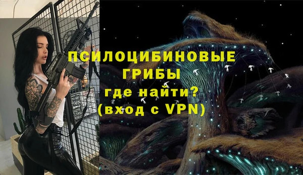 a pvp Армянск