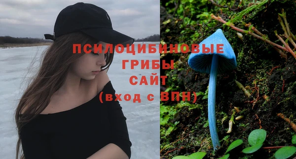 спиды Аркадак