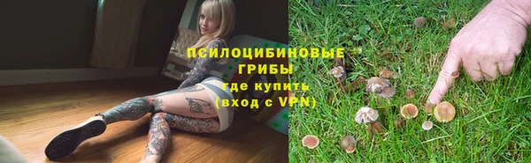 спиды Аркадак